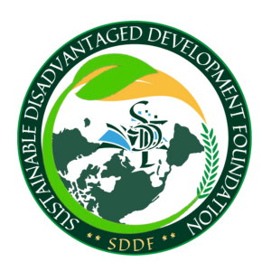 Foundations of SDDF & Leadership